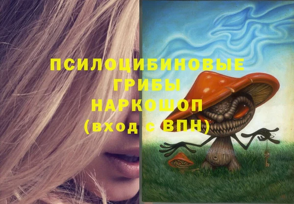 бошки Иннополис