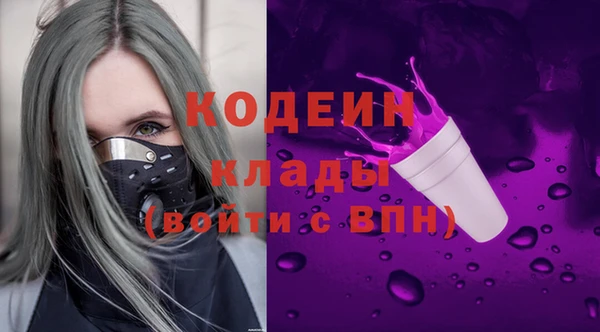 дживик Каменка