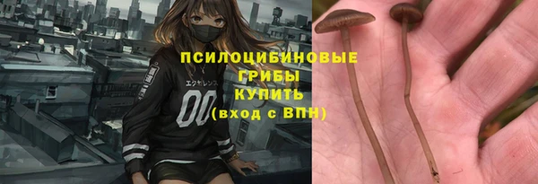 прущая мука Инсар