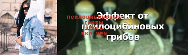 гидра Зерноград