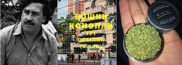 бошки Иннополис
