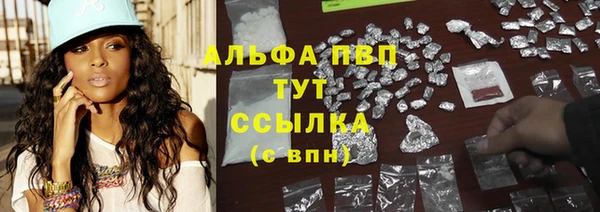 дживик Каменка