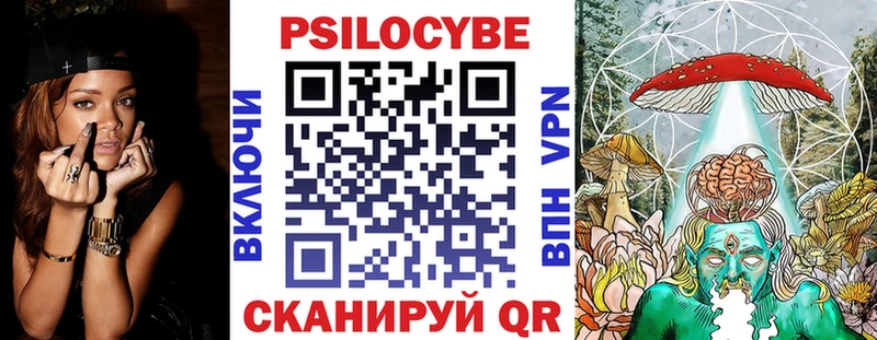 Купить закладки  Пущино  Галлюциногенные грибы GOLDEN TEACHER 